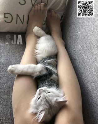 欧美成本大片免费播放_BD韩语高清视频播放