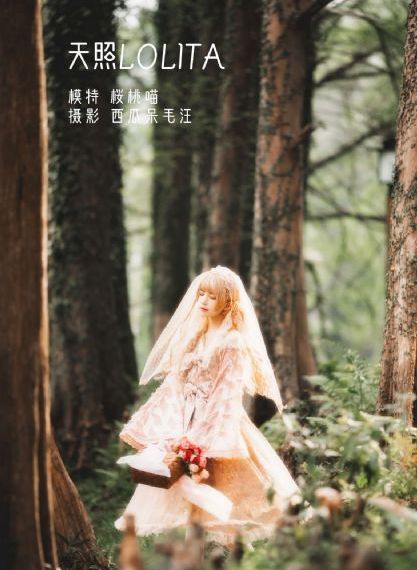 伦理电影网韩国伦理片_BD英语全集在线观看